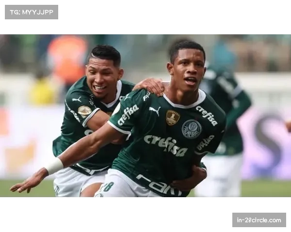 巴甲争冠格局渐明 弗拉门戈与帕尔梅拉斯形成第一集团 巴甲争冠格局渐明 弗拉门戈与帕尔梅拉斯形成第一集团